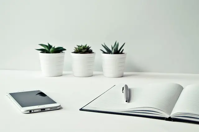Les Meilleurs Services de Consultation par Téléphone en 2026